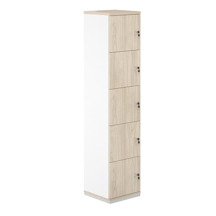 Шкаф-локер 5 ячеек Norden Allegro AG.232.WH.AR.AR